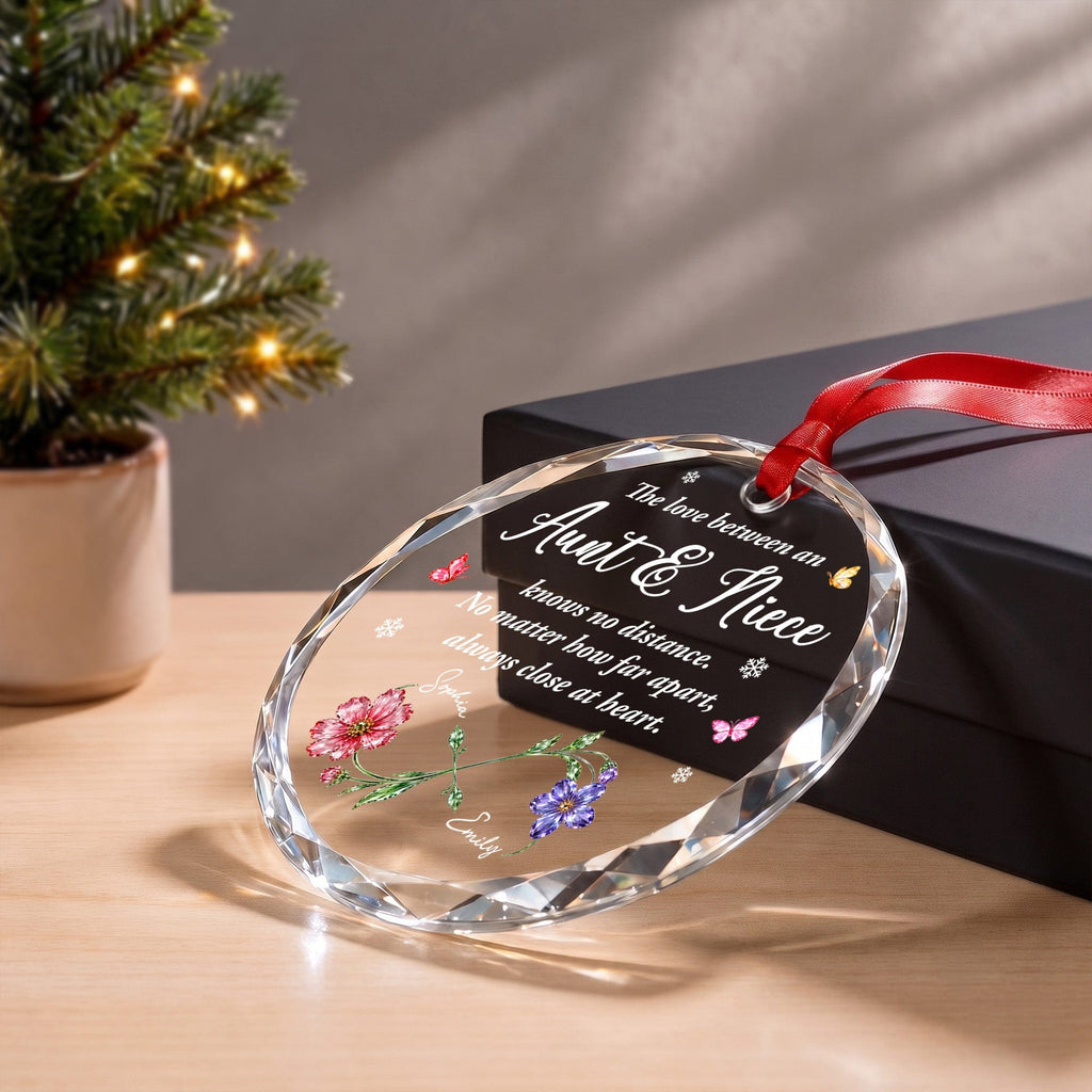 The Love Between An Aunt And Niece, Glass Ornament, Gift For Family - 11